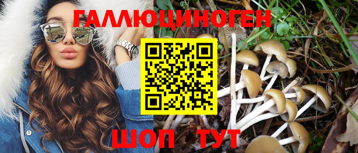 продажа наркотиков  Псилоцибиновые грибы мицелий  Вход с VPN  Саянск 